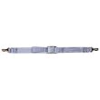 CargoBuckle F14067 Cargo Tie-Down