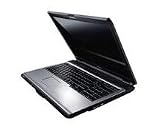 TOSHIBA Satellite Pro L350-14E 17Zoll WXGA+ TruBrite Dual Core T2390 2x 1GB DDR2 250GB SATA GMA X3100 0,3MP Cam WLAN VistaB+XP-DVD - 