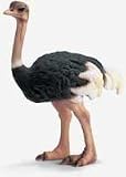 Schleich Ostrich 14325