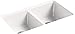 Kohler K-8679-5UA3-FF Riverby Kitchen Sink, Sea Salt