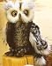 Plush Barney Barn Owl 9