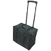 Premium Rolling Case (Sm.)