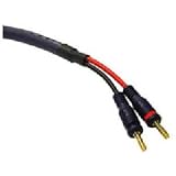 25Ft Velocity Spkr Cbl 12Awg