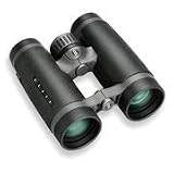Bushnell