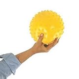 Ball Dynamics Fitball Sensory Ball