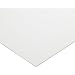 FDA Buna-N Sheet Gasket, White