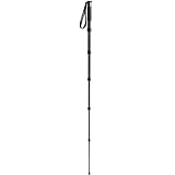  : Gitzo GM2560T Carbon Fiber 6-Section 6X Traveler Monopod
