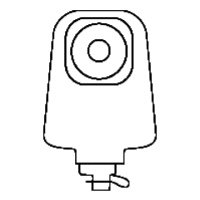 large image