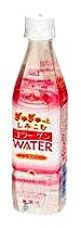 (お徳用ボックス) ぎゅぎゅっとしみこむコラーゲンウォーター 350ml&times;24本