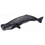 Sperm Whale
