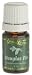 Young Living Essential Oil Douglas Fir 5 Ml