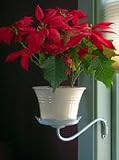 Rumford Gardener PS41412 Lotus Side Mount - Sage