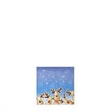 Reindeer Enclosure Card