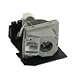 In Focus Replacement Lamp for Projector (SP-LAMP-028)