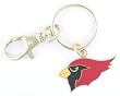 Arizona Cardinals Key Chain with clip Keychain NFL