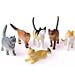 Toy Cats, 12 Count