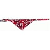 Red Western Bandanna Fancy Dog Collar 7/8" x 22"