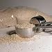 Grain Quinoa