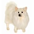 German Spitz Dog By Hansa