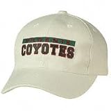 Reebok Phoenix Coyotes White 2009 NHL Draft Day Flex Fit Hat