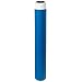 Pentek GAC-20 Carbon Filter Cartridge, 20" x 2-7/8"
