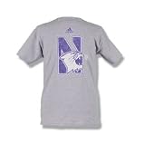 Northwestern Wildcats Adidas Youth Short Sleeve T-shirts - Distressed Logo
