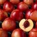 Snow Queen Nectarine Tree Five Gallon