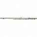 Gemeinhardt Model 3S Intermediate Flute (Offset G, B foot)