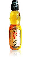 木村飲料 カレーラムネ 250ml PET×30本