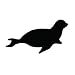Pack of 3 Seal Stencils Made from 4 Ply Mat Board 11x14, 8x10, 5x7