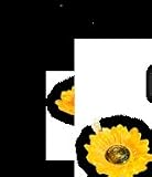Sunflowers With 5 Blinking LEDs Garden Solar Light