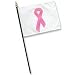 breast_cancer35breast cancer - Pink Ribbon miniature flag