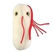 GIANT Microbes - Salmonella (Salmonella typhimurium) - Plush Toy
