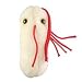 Giant Microbes 5"-7" Plush Salmonella Microbe