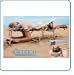 Ostrich 3 in 1 Beach Chair