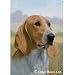 Bassett Hound Flag- 28" width x 40" length