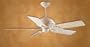 Indoor Ceiling Fans Hunter Etruscan
