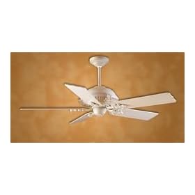 Indoor Ceiling Fans Hunter Etruscan
