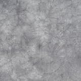 10 x 24 Lavender Fossil Background