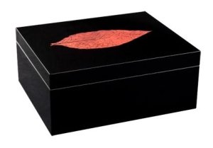 Childrens Toyshop  Kitchen & Housewares : Adorini Humidor Sorrente - Deluxe
