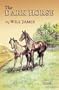 The Dark Horse (Tumbleweed)