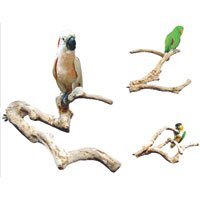 Java Wood Multi Branch Perch - Small - 16 in. 