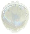 Small Glass Pearl White Oyster Shell Plate 8" x 7.75" Set / 2