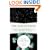 The Discoveries: Great Breakthroughs in 20th-Century Science, Including the Original Papers
