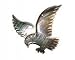 Black sea shell hand-carved eagle pendant (40x45mm)