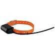 Garmin DC 40 GPS Dog Tracking Collar