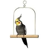 Wooden Swing for Cockatiels