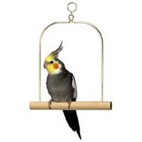 Wooden Swing for Cockatiels