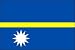 3 x 5 Feet Nauru Poly - indoor International Flag Made in US.