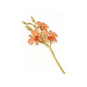 REAL FLOWER Dendrobium Orchid in Orange by 